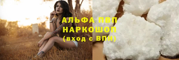 индика Надым