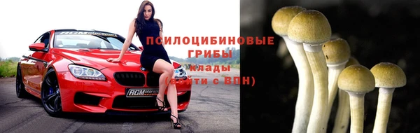 прущие крисы Нефтекумск