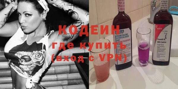 индика Надым