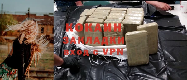 индика Надым