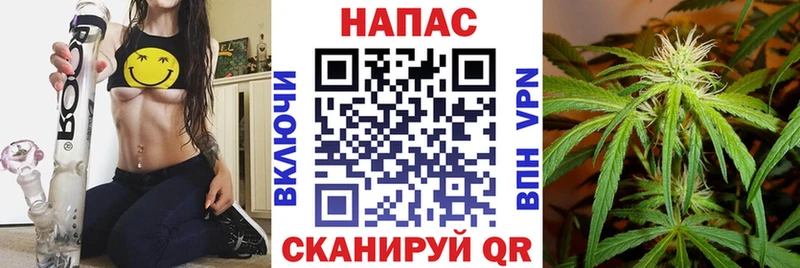 Бошки Шишки VHQ  Нестеров 